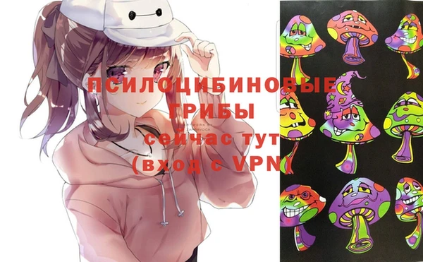 spice Алзамай