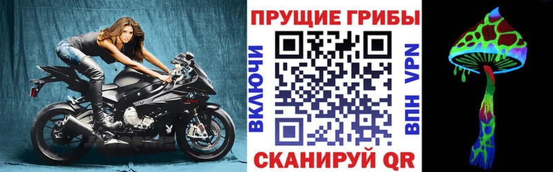 купить наркотики сайты  Красавино  Галлюциногенные грибы GOLDEN TEACHER 